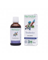 Mélisse Extrait de Plante fraîche Bio