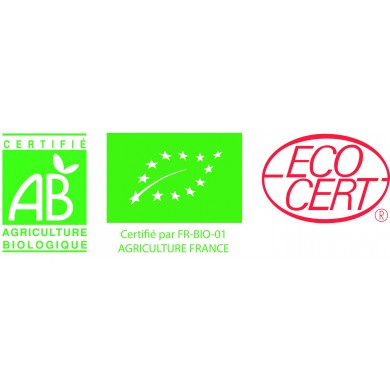 Ortie piquante feuilles en vrac BIO