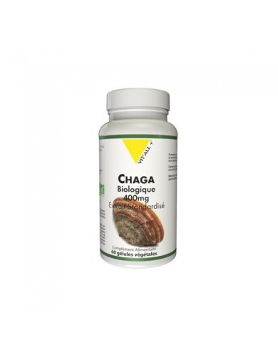 CHAGA BIO* 400mg Extrait standardisé
