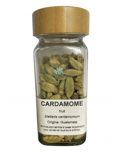 Cardamome fruit - pot à épice