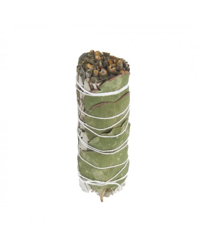 Sauge blanche et Eucalyptus à brûler