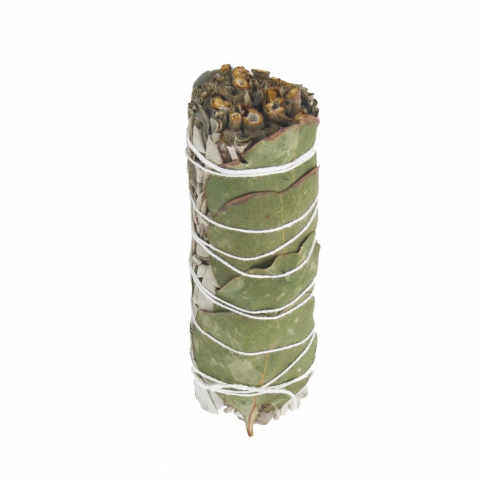 Sauge blanche et Eucalyptus à brûler