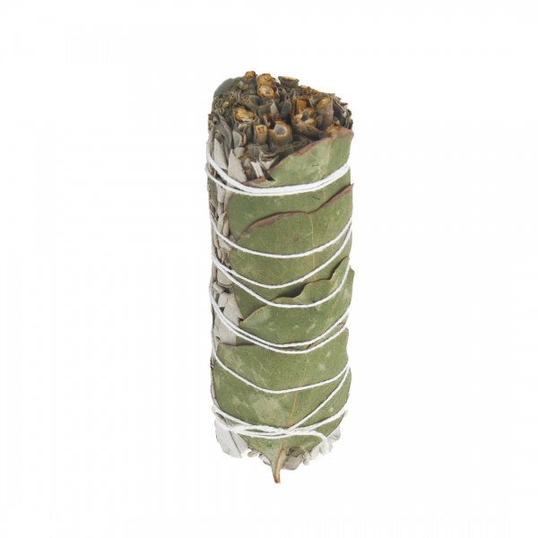 Sauge blanche et Eucalyptus à brûler
