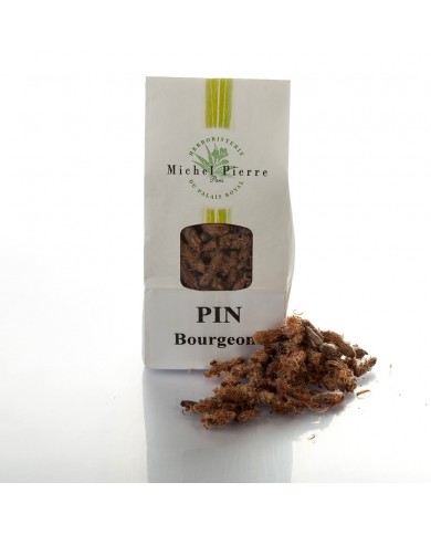Pin sylvestre - Bourgeons en vrac