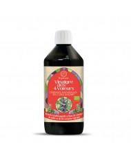 Ail des ours extrait hydroalcoolique Bio