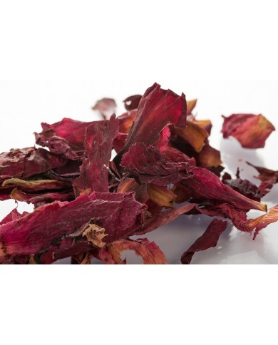 Pivoine - Fleurs en vrac