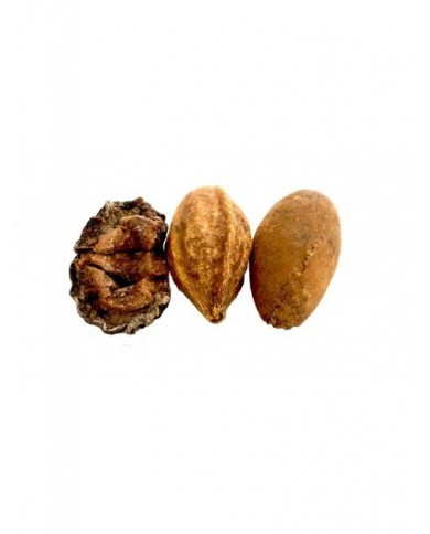 Triphala en poudre