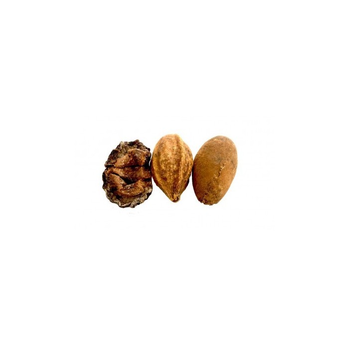 Triphala en poudre