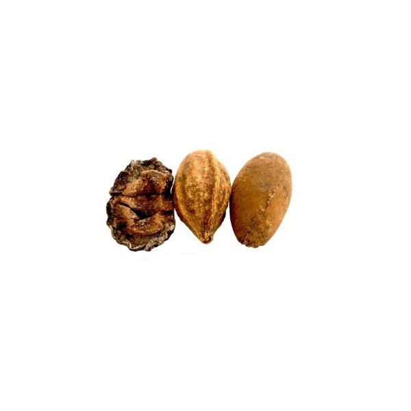 Triphala en poudre