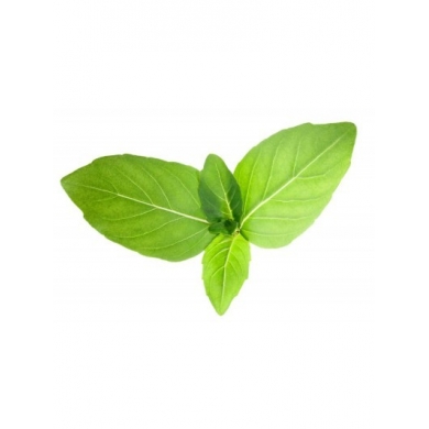 Tulsi (Basilic sacré) en poudre