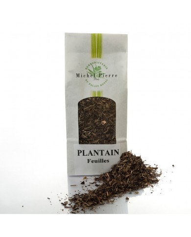 Plantain lancéolé - Feuilles en vrac BIO