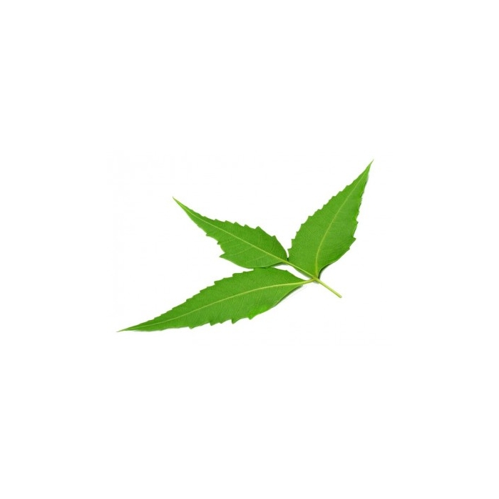 Nimba (Neem) 125 gélules