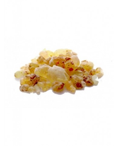 Shallaki - Boswellia serrata en poudre