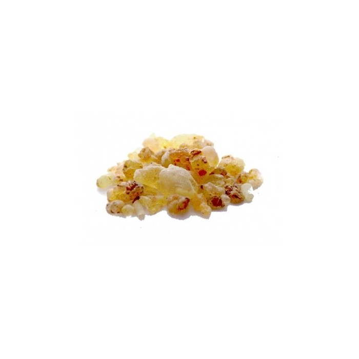Shallaki - Boswellia serrata en poudre