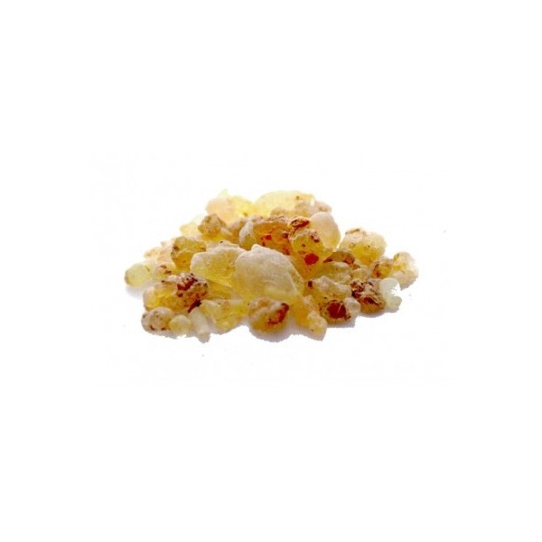 Shallaki - Boswellia serrata en poudre