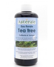 Romarin à verbénone en eau florale Bio