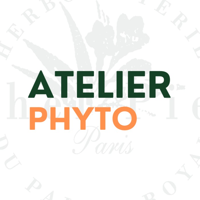 Système digestif : améliorer sa digestion avec les plantes