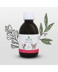 Phyto vieillesse
