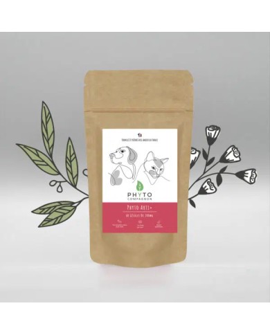 Phyto arti+