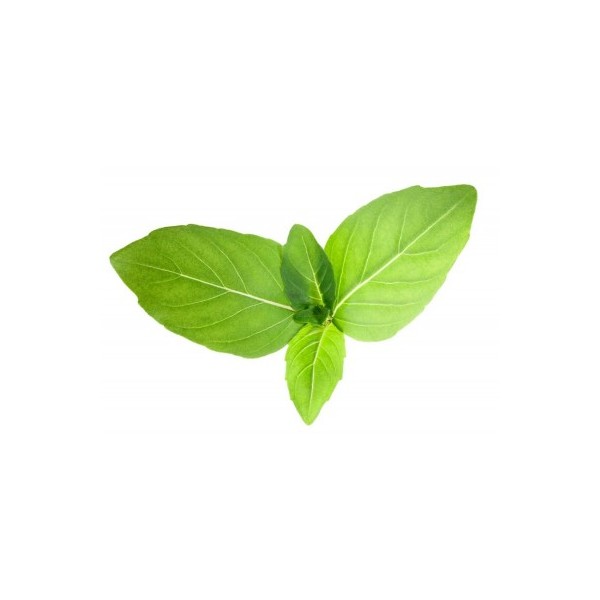 Tulsi feuille125 gélules