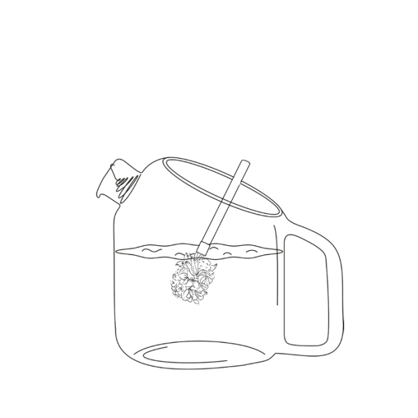 Coffret de 2 bouquets Fleurs sauvages à infuser Bio