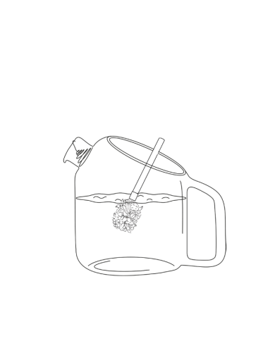 Coffret de 2 bouquets Fleurs des bois à infuser Bio