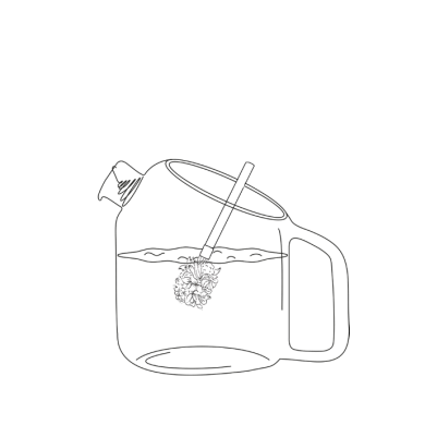 Coffret de 2 bouquets Fleurs des bois à infuser Bio