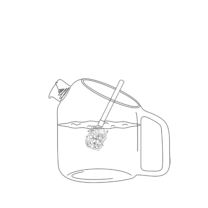 Coffret de 2 bouquets Fleurs des bois à infuser Bio