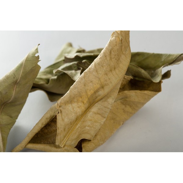 Oranger bigaradier - Feuilles en vrac BIO