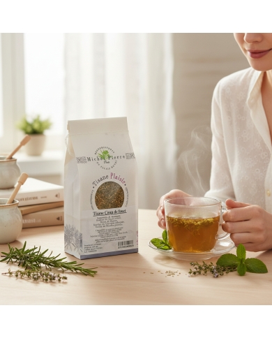 Tisane Coup de Fouet – Énergie & Vitalité | Michel Pierre | 100g