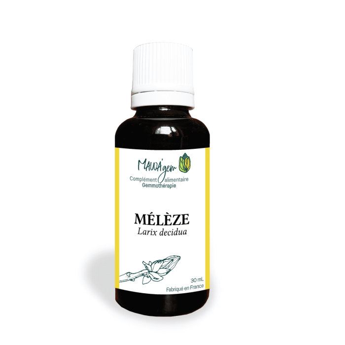 Mélèze - Gemmothérapie bio