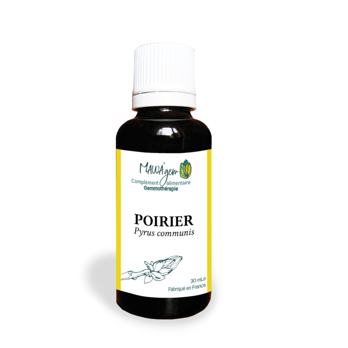 Poirier - Gemmothérapie bio