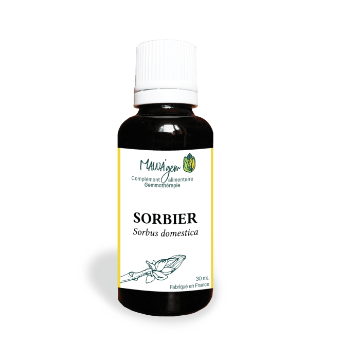 Sorbier - Gemmothérapie bio