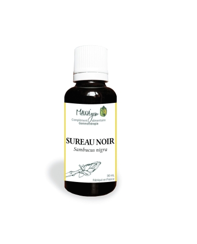 Sureau noir - Gemmothérapie bio