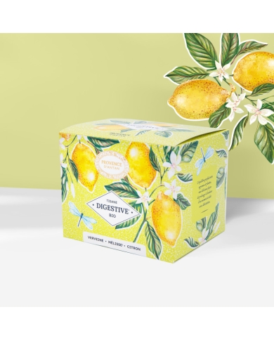 Tisane Digestive Bio en infusettes en recharge carton