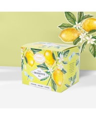 Tisane Hiver Bio en infusettes en recharge carton
