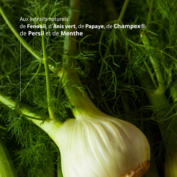 DIGEST Haleine - Digestion & haleine fraîche