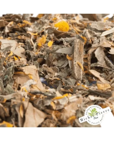 Tisane confort Hépatique Herboristerie du Palais Royal Paris Michel Pierre