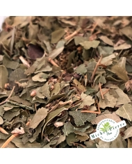 Tisane Diurétique Cellulite Michel Pierre | Vigne Rouge & Cassis | Santé de la Peau