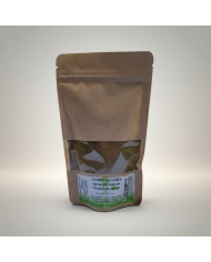 Gymnema sylvestre en poudre 100 gr