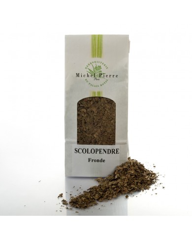Scolopendre - Fronde en vrac