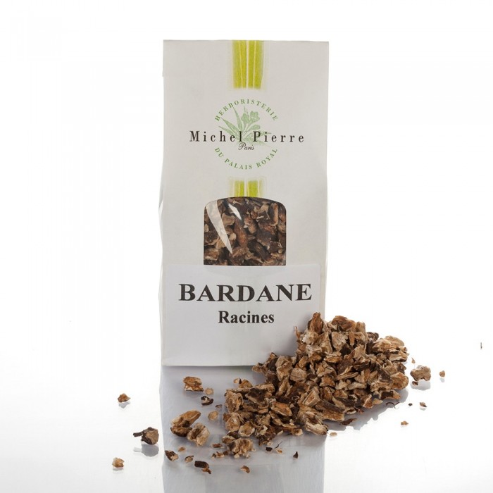 Bardane – Racines en Vrac | Arctium majus | Michel Pierre