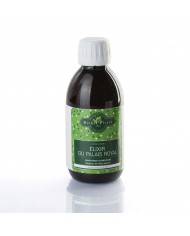 Echinacea extrait hydroalcoolique Bio