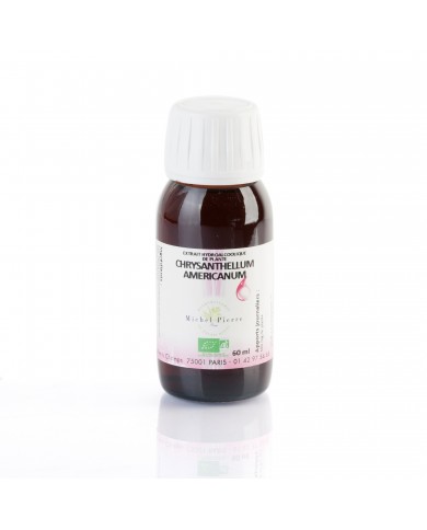 Chrysanthellum americanum extrait hydroalcoolique Bio