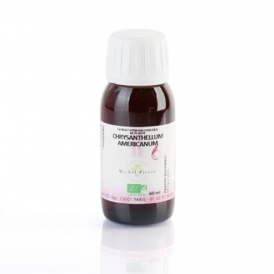 Chrysanthellum americanum extrait hydroalcoolique Bio