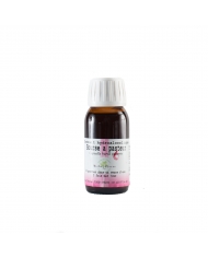 Cassis extrait hydroalcoolique Bio