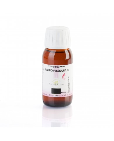 Fucus Varech extrait hydroalcoolique