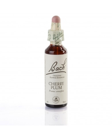 CHERRY PLUM (prunier myrobolan) 20 ml