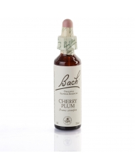 ASPEN (peuplier tremble) 20 ml