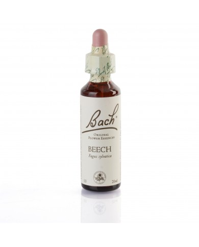 BEECH (hêtre) 20 ml